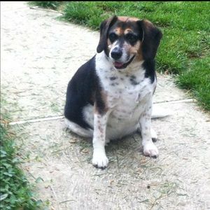 Meet your Posher, Steph